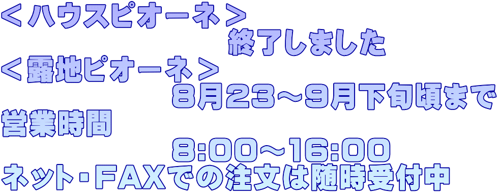 nEXsI[l @@@@@@@@I܂ InsI[l @@@@@@W23`9{܂ cƎ @@@@@@8:00`16:00 lbgEFAXł̒͐t